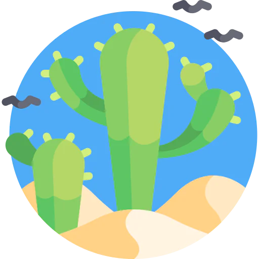 Cactus icon