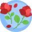 Roses Ikona 64x64