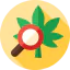 Cannabis icon 64x64