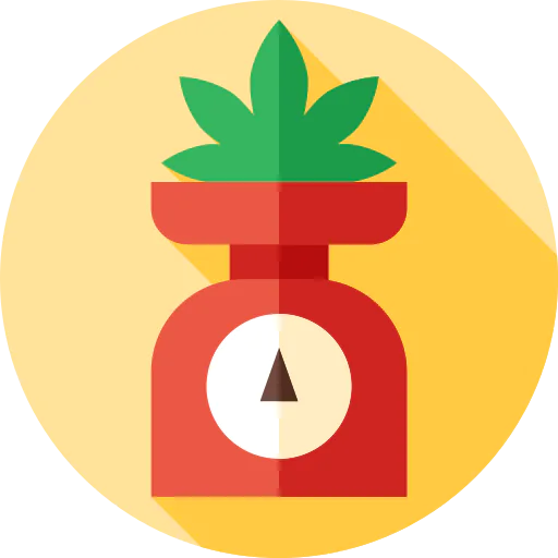 Weight scale icon