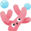 Coral icon 64x64
