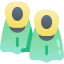 Fins icon 64x64
