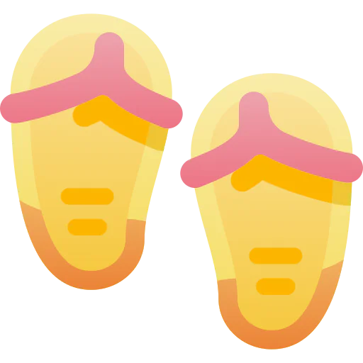 Flip flops icon