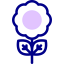 Flower icon 64x64