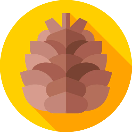Pine cone icon