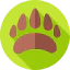 Bear 图标 64x64