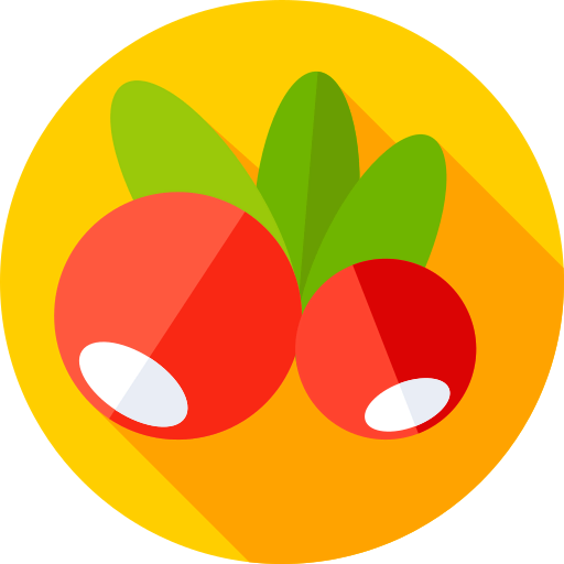 Mistletoe icon