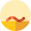 Worm icon 64x64