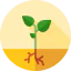 Sprout icon 64x64