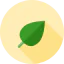 Leaf icon 64x64