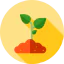 Sprout icon 64x64