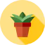 Aloe icon 64x64