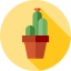 Cactus アイコン 64x64