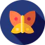 Butterfly icon 64x64