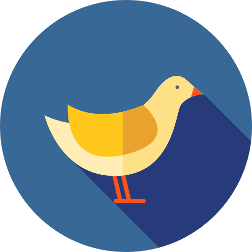 Bird icon