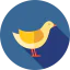 Bird icon 64x64