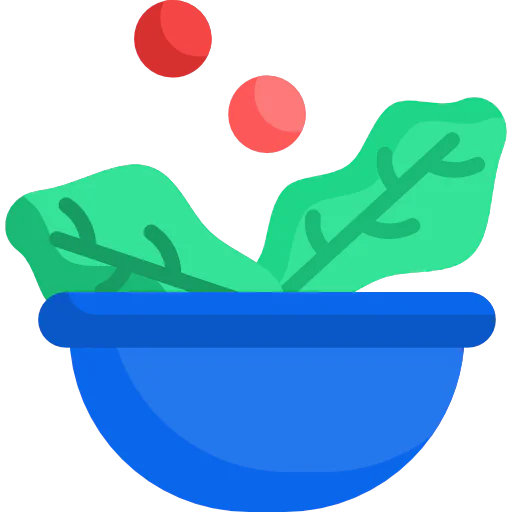 Salad icon
