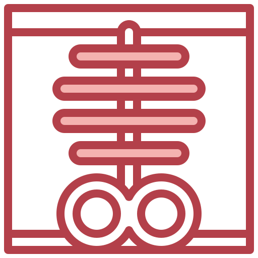 X ray icon
