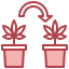 Cloning icon 64x64