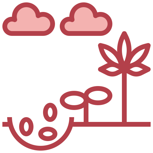 Germination icon