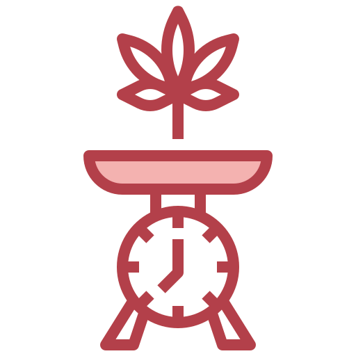 Scale icon