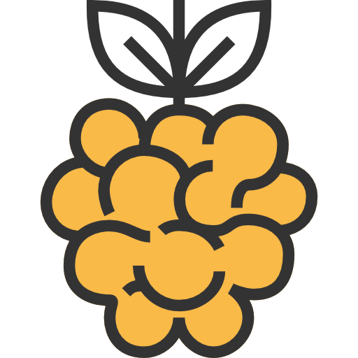 Raspberry icon