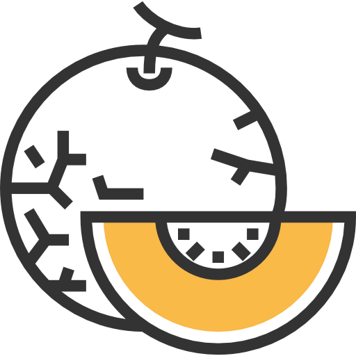 Melon icon