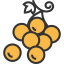 Grapes 상 64x64