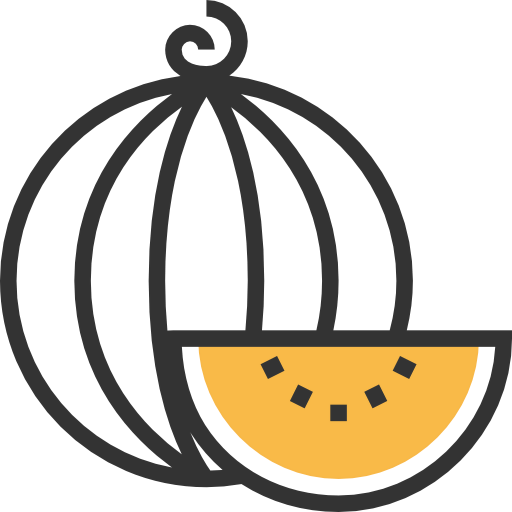 Watermelon icon