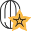 Star fruit icon 64x64