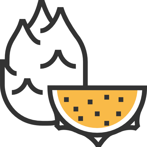 Fruit icon