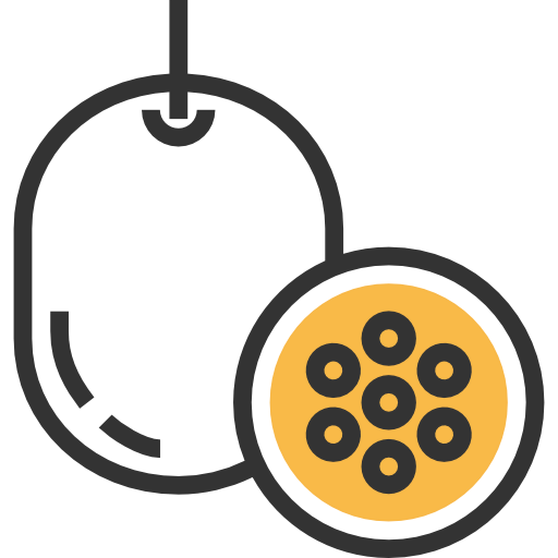 Fruit icon