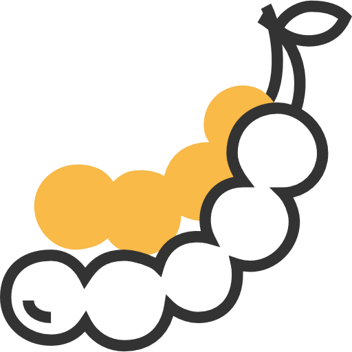 Fruit icon