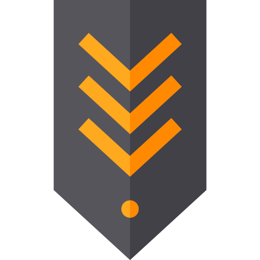 Chevron icon