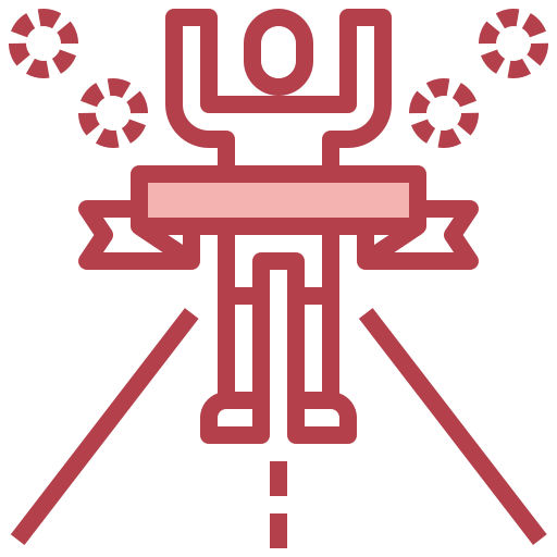 Win icon