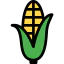 Maize icon 64x64