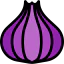 Onion icon 64x64
