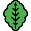Lettuce icon 64x64