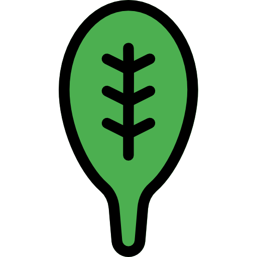 Spinach icon
