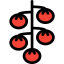 Tomato icon 64x64