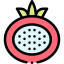 Pomegranate icon 64x64