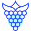 Raspberries アイコン 64x64
