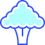 Broccoli biểu tượng 64x64