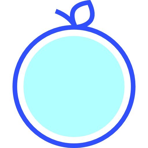 Orange icon
