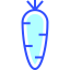 Carrot icon 64x64