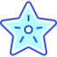Starfish icon 64x64