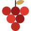 Vitamins icon 64x64