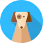 Собака иконка 64x64