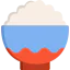 Rice іконка 64x64