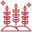 Пшеница иконка 64x64